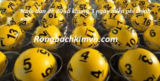 Nuôi dàn đề 20 số khung 3 ngày miễn phí chính xác