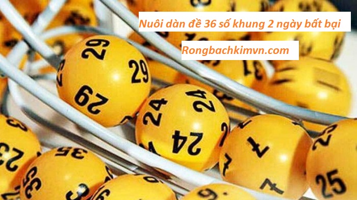 Nuôi dàn đề 36 số khung 2 ngày bất bại 