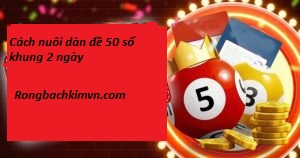 Bật mí cách nuôi dàn đề 50 số khung 2 ngày chỉ có thắng