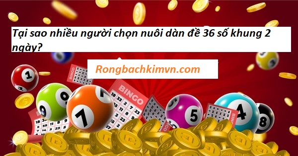 Tại sao nhiều người chọn nuôi dàn đề 36 số khung 2 ngày?